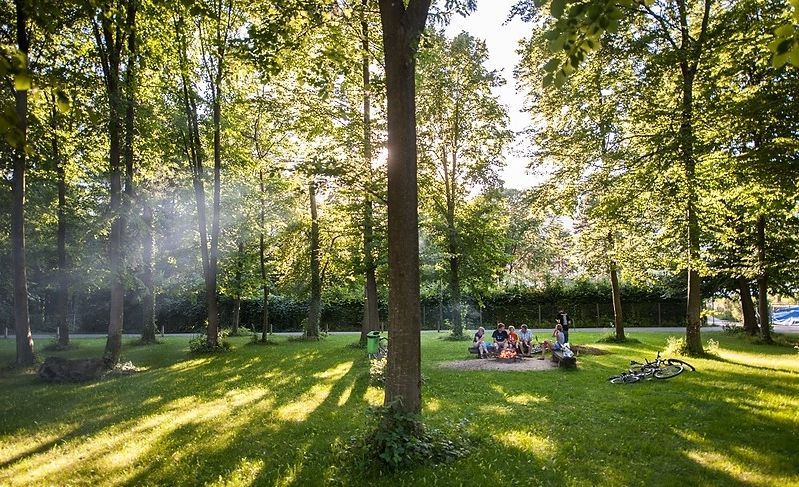 Grillstelle in unserem kleinen Wäldchen