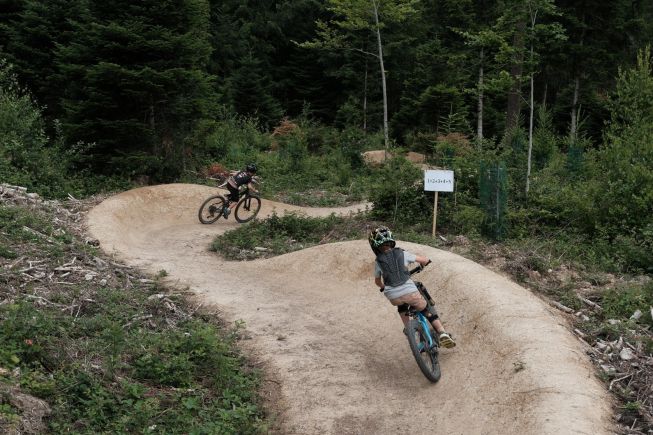WolfTrail