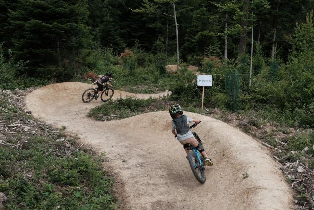Wolftrail